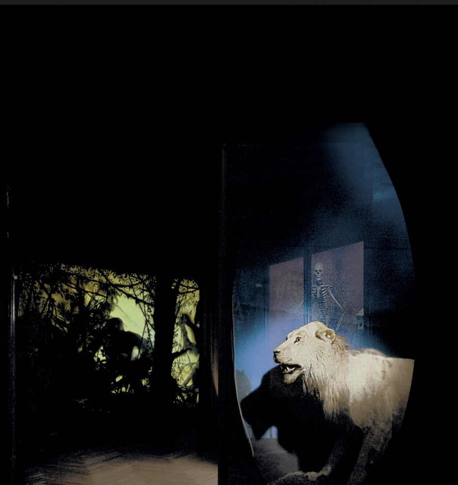 L'imaginaire artistique d'un musée zoologique